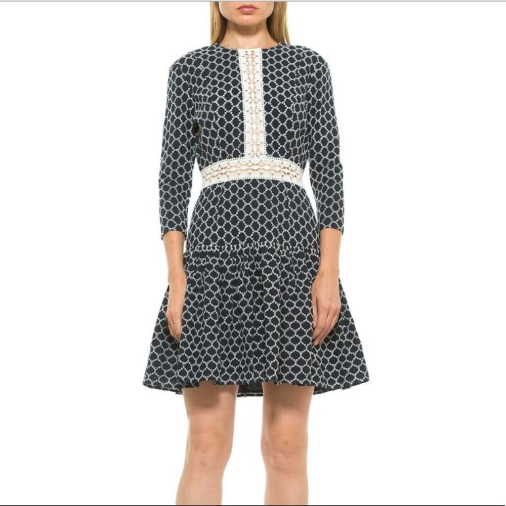 NWT Alexia Admor Devin Drop Waist Dress size 8